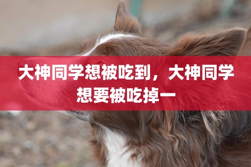 大神同学想被吃到，大神同学想要被吃掉一