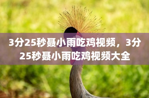 3分25秒聂小雨吃鸡视频，3分25秒聂小雨吃鸡视频大全