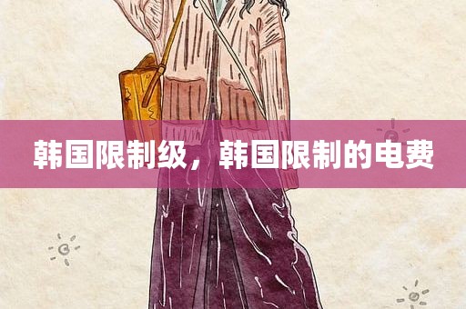 韩国限制级，韩国限制的电费