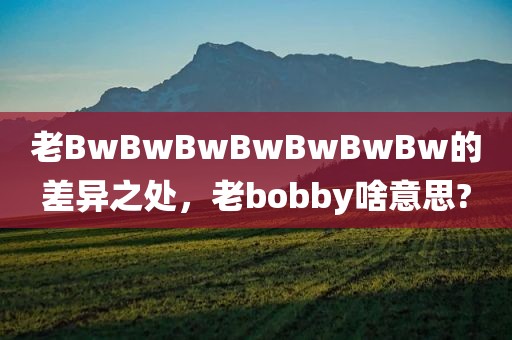 老BwBwBwBwBwBwBw的差异之处，老bobby啥意思?
