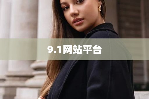 9.1网站平台