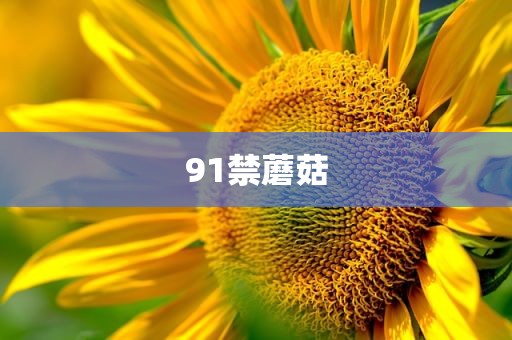 91禁蘑菇