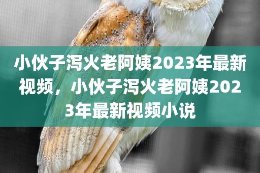 小伙子泻火老阿姨2023年最新视频，小伙子泻火老阿姨2023年最新视频小说