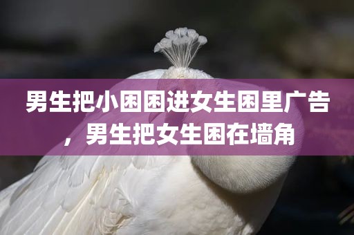 男生把小困困进女生困里广告，男生把女生困在墙角
