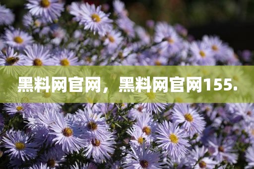 黑料网官网，黑料网官网155.