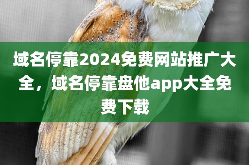 域名停靠2024免费网站推广大全，域名停靠盘他app大全免费下载