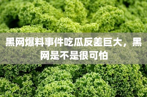 黑网爆料事件吃瓜反差巨大，黑网是不是很可怕