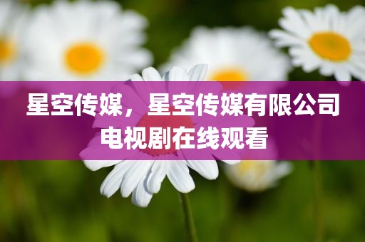 星空传媒，星空传媒有限公司电视剧在线观看