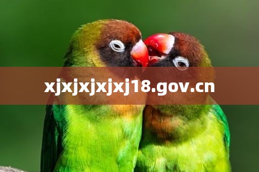 xjxjxjxjxj18.gov.cn
