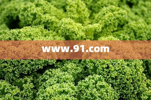 www.91.com