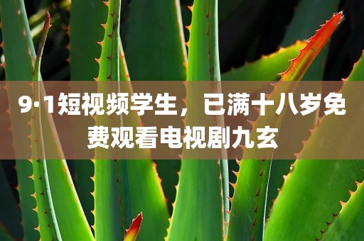9·1短视频学生，已满十八岁免费观看电视剧九玄