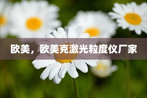 欧美，欧美克激光粒度仪厂家