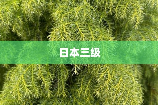 日本三级