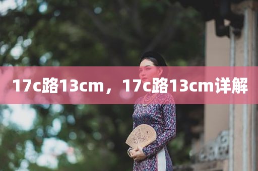 17c路13cm，17c路13cm详解