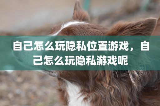 自己怎么玩隐私位置游戏，自己怎么玩隐私游戏呢