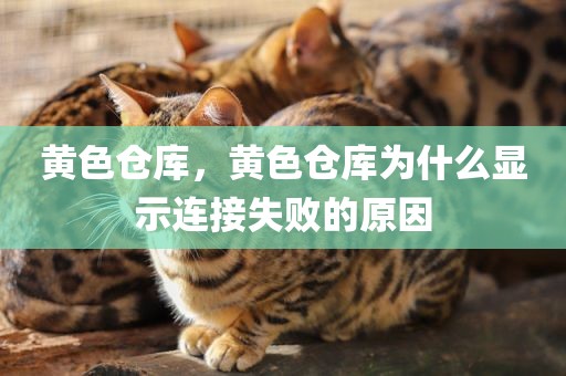 黄色仓库，黄色仓库为什么显示连接失败的原因