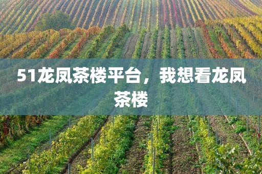 51龙凤茶楼平台，我想看龙凤茶楼