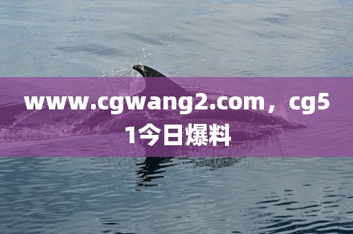 www.cgwang2.com，cg51今日爆料