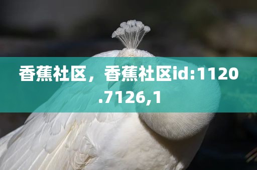香蕉社区，香蕉社区id:1120.7126,1
