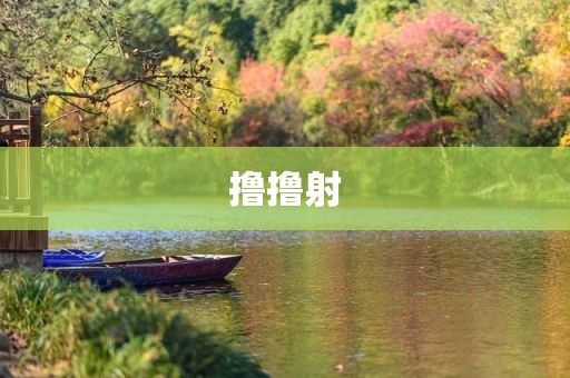 撸撸射