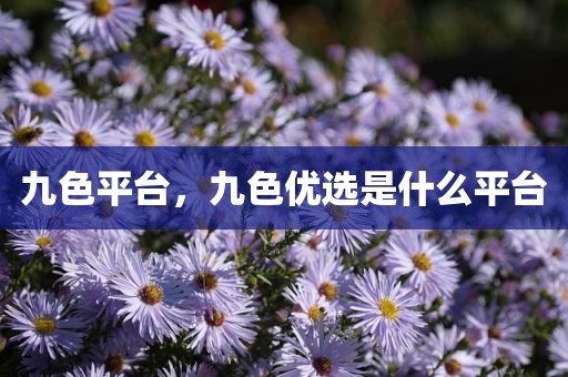九色平台，九色优选是什么平台