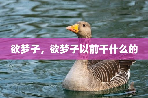 欲梦子，欲梦子以前干什么的