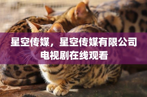 星空传媒，星空传媒有限公司电视剧在线观看