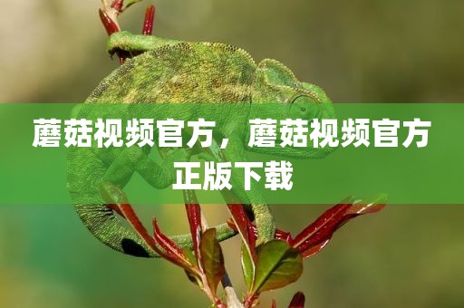 蘑菇视频官方，蘑菇视频官方正版下载