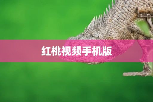 红桃视频手机版