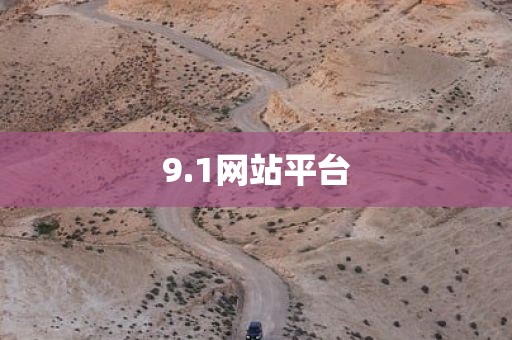 9.1网站平台