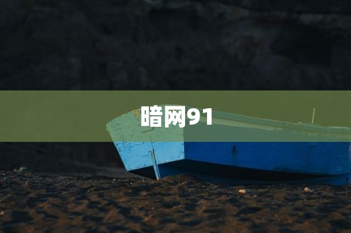 暗网91