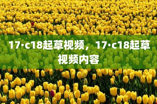 17·c18起草视频，17·c18起草视频内容