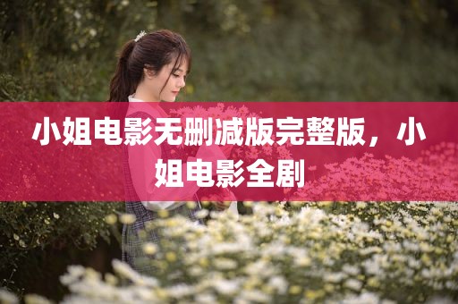 小姐电影无删减版完整版，小姐电影全剧