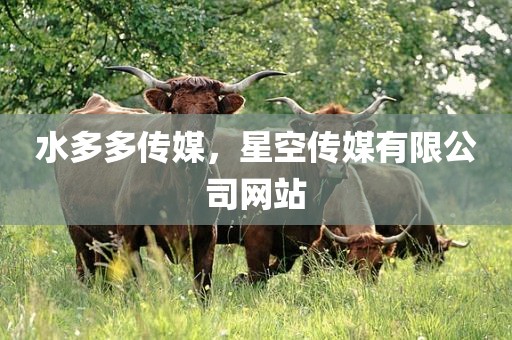 水多多传媒，星空传媒有限公司网站