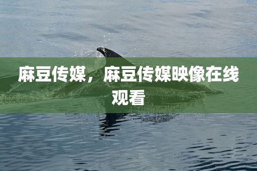 麻豆传媒，麻豆传媒映像在线观看