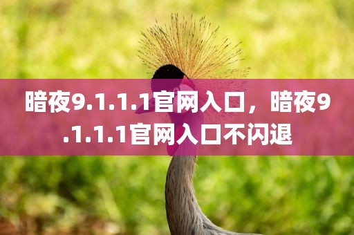 暗夜9.1.1.1官网入口，暗夜9.1.1.1官网入口不闪退
