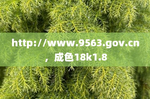 http://www.9563.gov.cn，成色18k1.8