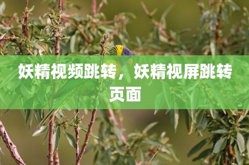 妖精视频跳转，妖精视屏跳转页面