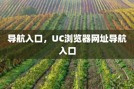 导航入口，UC浏览器网址导航入口