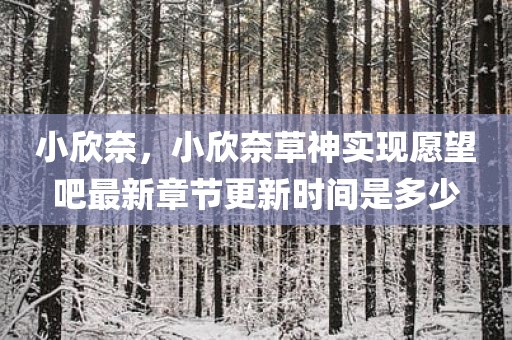 小欣奈，小欣奈草神实现愿望吧最新章节更新时间是多少