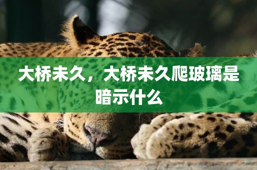 大桥未久，大桥未久爬玻璃是暗示什么