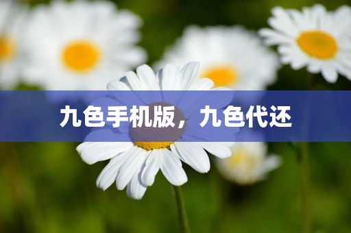 九色手机版，九色代还