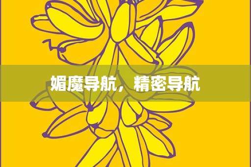 媚魔导航，精密导航