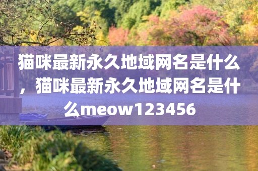 猫咪最新永久地域网名是什么，猫咪最新永久地域网名是什么meow123456
