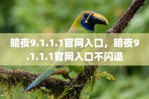 暗夜9.1.1.1官网入口，暗夜9.1.1.1官网入口不闪退