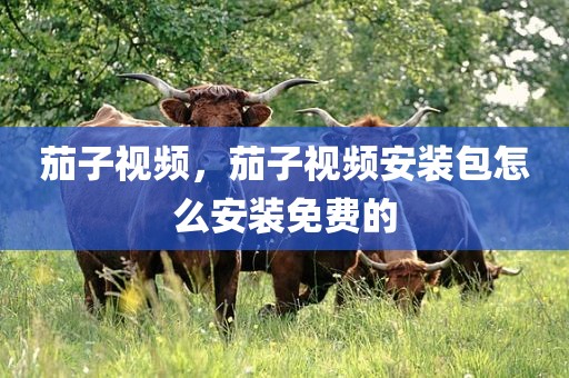茄子视频，茄子视频安装包怎么安装免费的