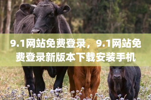 9.1网站免费登录，9.1网站免费登录新版本下载安装手机