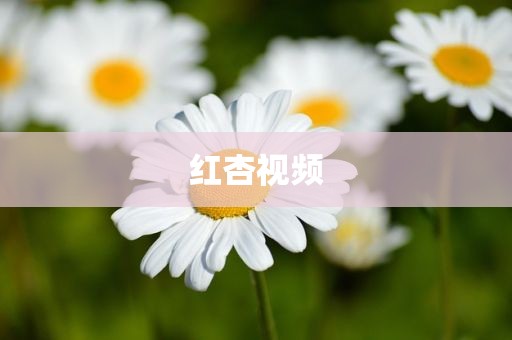 红杏视频