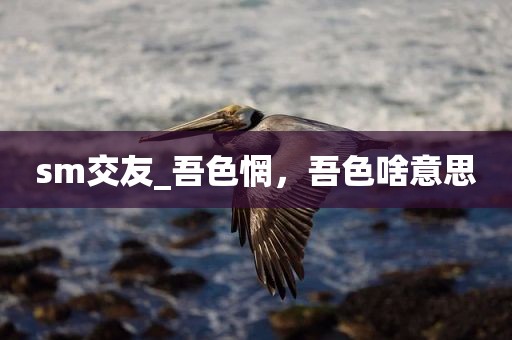 sm交友_吾色惘，吾色啥意思