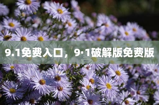 9.1免费入口，9·1破解版免费版